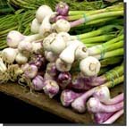 Onions